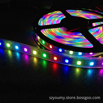 5M 300 LED 1812 Dream Color 5050 RGB LED Strip, 60 LEDs/m SMD Light, Waterproof